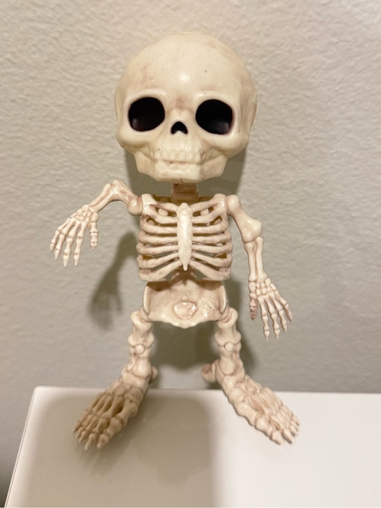 Other - Decorative Skeleton Figurine